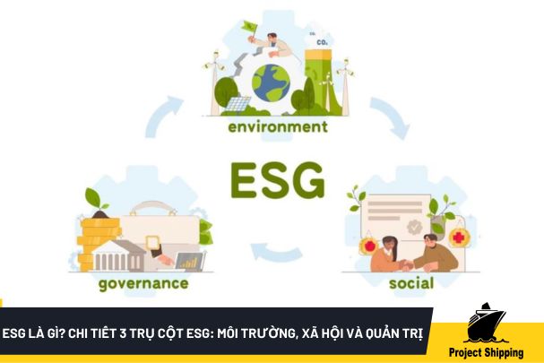 ESG là gì? Chi tiết 3 trụ cột ESG: môi trường, xã hội và quản trị