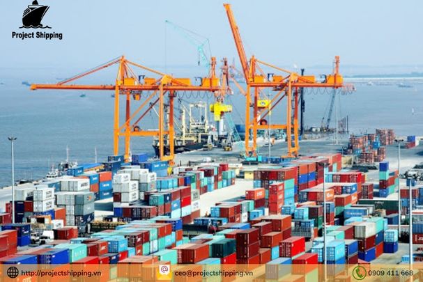 Cước vận chuyển đường biển từ Cảng Jiujiang đến Cảng Đà Nẵng