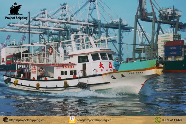 Phụ phí và Local Charge tại Việt Nam