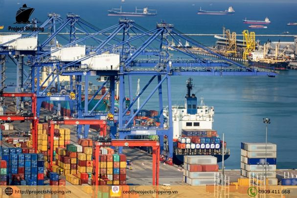 Cước vận chuyển đường biển từ Cảng Sydney đến Cảng Đà Nẵng