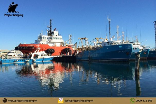 Cước vận chuyển đường biển từ Cảng Cát Lái đến Cảng Fremantle 