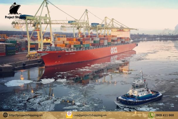 Phụ phí và Local Charge tại Việt Nam