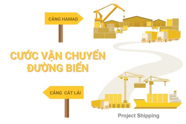 Cước vận chuyển đường biển từ Cảng Cát Lái đến Cảng Hamad