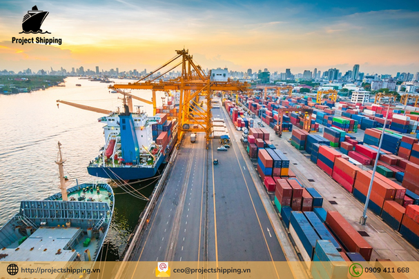 Cước vận chuyển đường biển từ Cảng Cát Lái đến Cảng Rotterdam