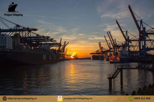 Cước vận chuyển đường biển từ Cảng Đà Nẵng đến Cảng Marseille 