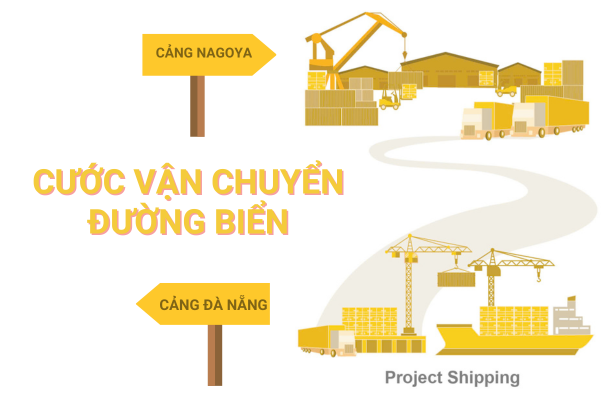 Cước vận chuyển đường biển từ Cảng Đà Nẵng đến Cảng Nagoya