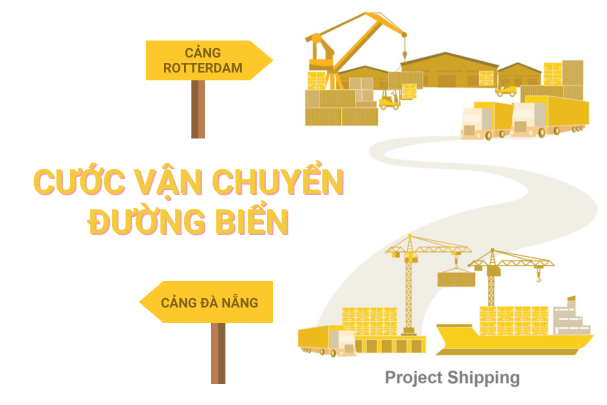 Cước vận chuyển đường biển từ Cảng Đà Nẵng đến Cảng Rotterdam