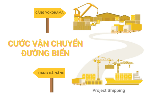 Cước vận chuyển đường biển từ Cảng Đà Nẵng đến Cảng Yokohama