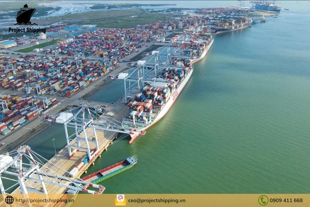 Cước vận chuyển đường biển từ Cảng Hải Phòng đến Cảng Umm Said