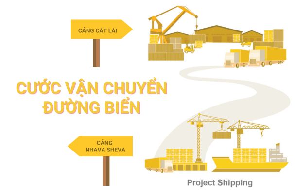 Cước vận chuyển đường biển từ Cảng Nhava Sheva đến Cảng Cát Lái