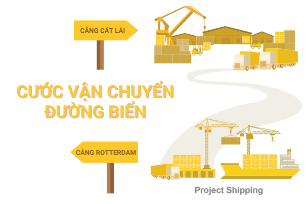 Cước vận chuyển đường biển từ Cảng Rotterdam đến Cảng Cát Lái