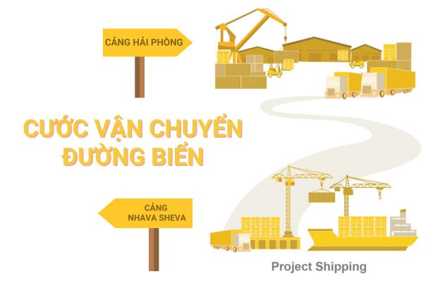 Cước vận chuyển đường biển từ Cảng Nhava Sheva đến Cảng Hải Phòng