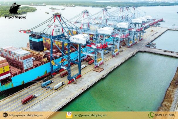 Dịch vụ vận chuyển hàng từ Bilbao – Tây Ban Nha đến Cát Lái Việt Nam của Project Shipping