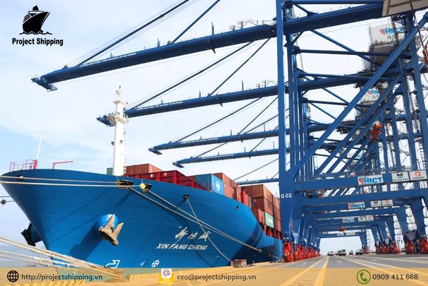 Dịch vụ vận chuyển hàng từ cảng Hải Phòng –  Việt Nam đi cảng Hamad – Qatar của Project Shipping