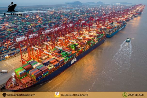 Dịch vụ vận chuyển hàng từ Cát Lái Việt Nam đến Umm Said – Qatar của Project Shipping