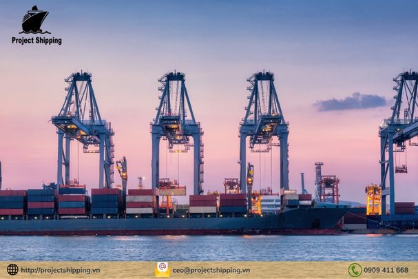 Dịch vụ vận chuyển hàng từ Hamad – Qatar đến Cát Lái – Việt Nam của Project Shipping