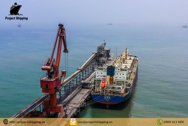 Những lưu ý khi vận chuyển hàng từ Cát Lái – Việt Nam đi Umm Said – Qatar