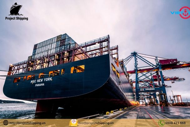 Cước vận chuyển đường biển từ Cảng Basel đến Cảng Cát Lái