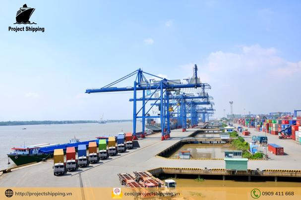 Cước vận chuyển đường biển từ Cảng Cát Lái đến Cảng Brindisi