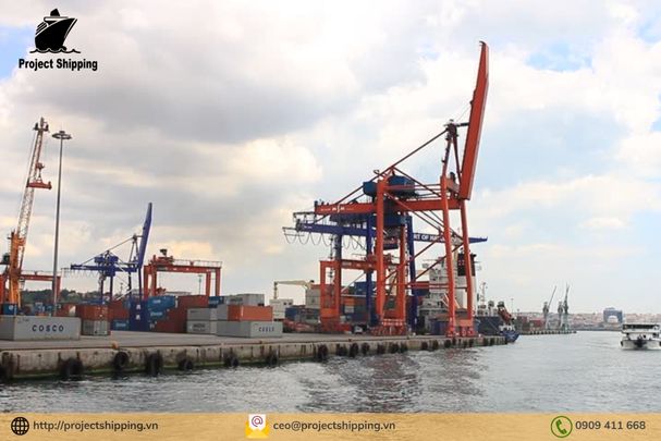 Cước vận chuyển đường biển từ Cảng Cát Lái đến Cảng Trabzon 