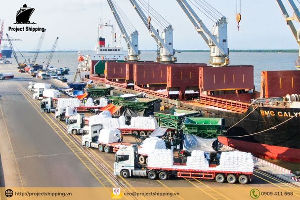 Cước vận chuyển đường biển từ Cảng Đà Nẵng đến Cảng ALIAGA (IZMIR AREA)