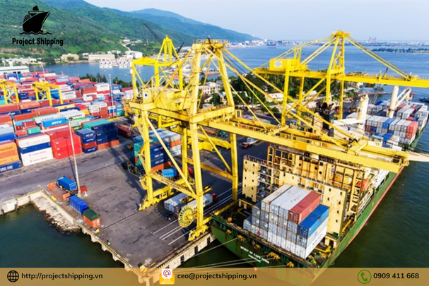 Cước vận chuyển đường biển từ Cảng Đà Nẵng đến Cảng Brindisi