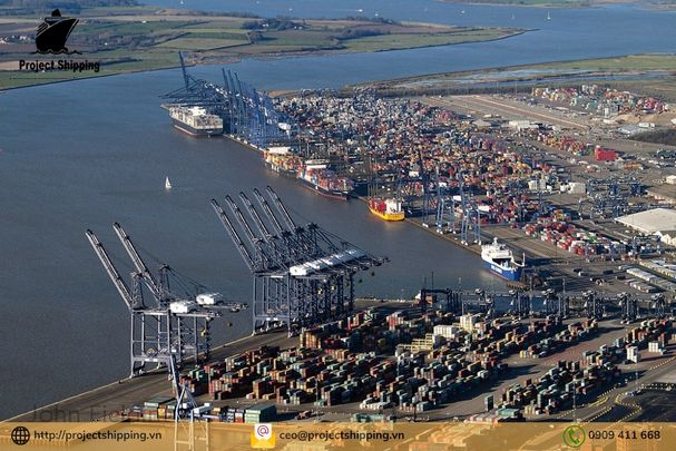 Cước vận chuyển đường biển từ Cảng Đà Nẵng đến Cảng Felixstowe