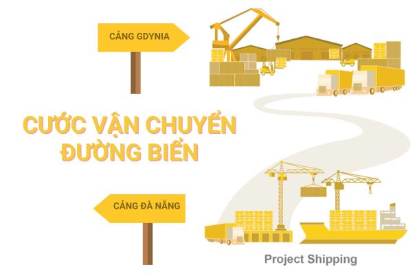 Cước vận chuyển đường biển từ Cảng Đà Nẵng đến Cảng Gdynia