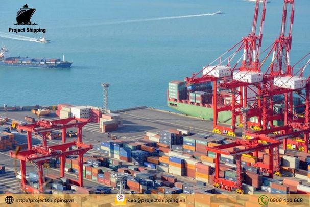 Cước vận chuyển đường biển từ Cảng Đà Nẵng đến Cảng Hopa, Artvin