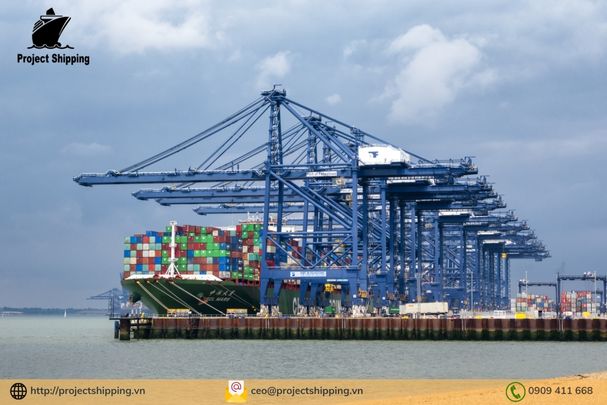 Cước vận chuyển đường biển từ Cảng Đà Nẵng đến Cảng Southampton