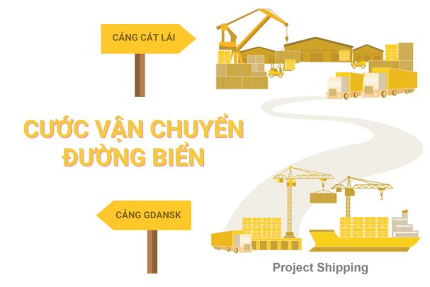 Cước vận chuyển đường biển từ Cảng Gdansk đến Cảng Cát Lái