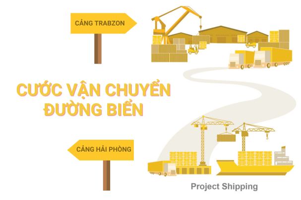 Cước vận chuyển đường biển từ Cảng Hải Phòng đến Cảng Trabzon