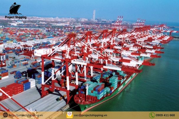 Cước vận chuyển đường biển từ Cảng Necochea đến Cảng Cát Lái