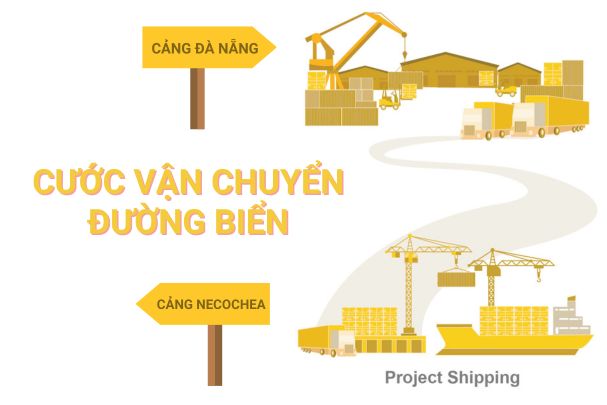 Cước vận chuyển đường biển từ Cảng Necochea đến Cảng Đà Nẵng