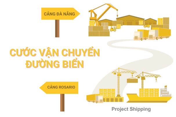 Cước vận chuyển đường biển từ Cảng Rosario đến Cảng Đà Nẵng