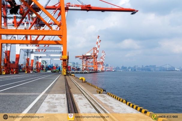 Cước vận chuyển đường biển từ Cảng Wilhelmshaven đến Cảng Hải Phòng