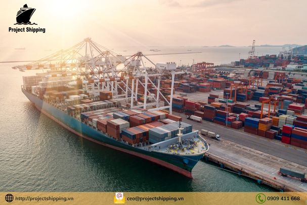 Cước vận chuyển từ cảng Cát Lái Việt Nam đến Savona-Vado - Ý