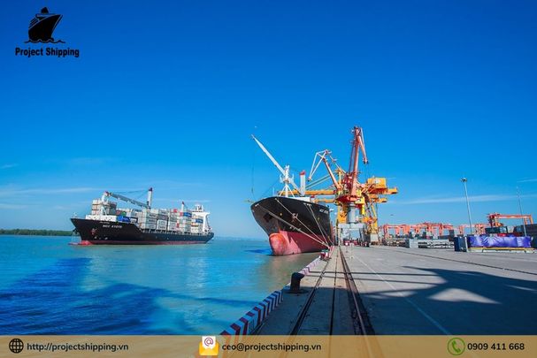Dịch vụ vận chuyển hàng từ Basel – Thụy Sĩ đến Cát Lái Việt Nam của Project Shipping