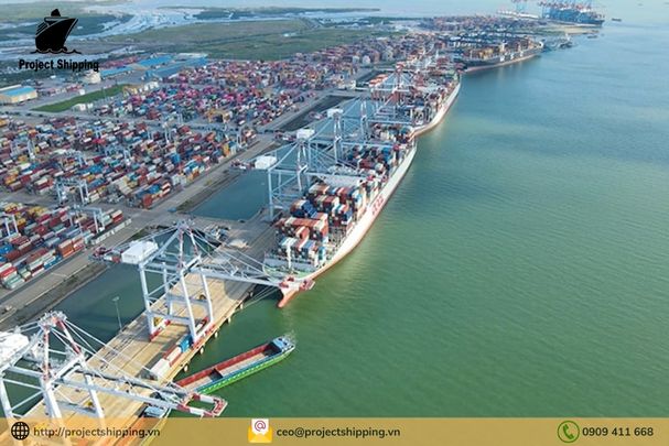 Dịch vụ vận chuyển hàng từ Cát Lái Việt Nam đến Gdynia – Ba Lan của Project Shipping