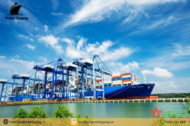 Dịch vụ vận chuyển hàng từ Đà Nẵng Việt Nam đến ISTANBUL – AMBARLI – Thổ Nhĩ Kỳ của Project Shipping