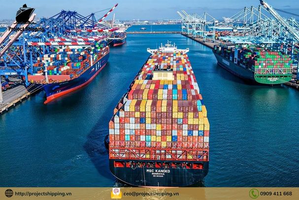 Dịch vụ vận chuyển hàng từ Đà Nẵng Việt Nam đến Kolobrzeg – Ba Lan của Project Shipping