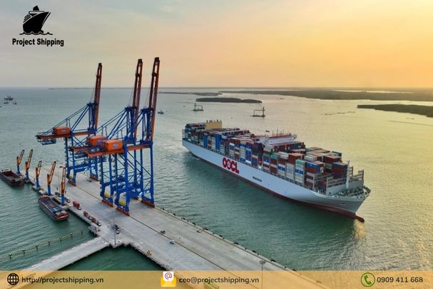 Dịch vụ vận chuyển hàng từ Đà Nẵng Việt Nam đến Mersin – Thổ Nhĩ Kỳ của Project Shipping