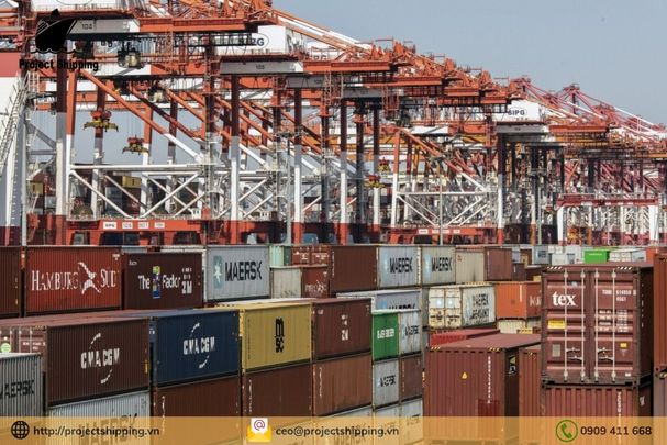 Dịch vụ vận chuyển hàng từ Cát Lái Việt Nam đến Helsingborg – Thụy Điển của Project Shipping