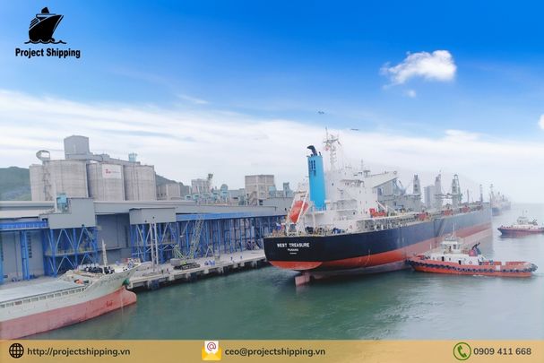 Dịch vụ vận chuyển hàng từ Montevideo Uruguay đến Hải Phòng – Việt Nam của Project Shipping