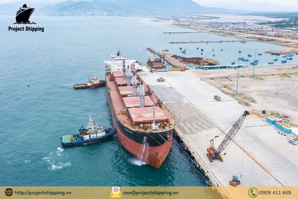 Dịch vụ vận chuyển hàng từ Paysandu Uruguay đến Hải Phòng – Việt Nam của Project Shipping