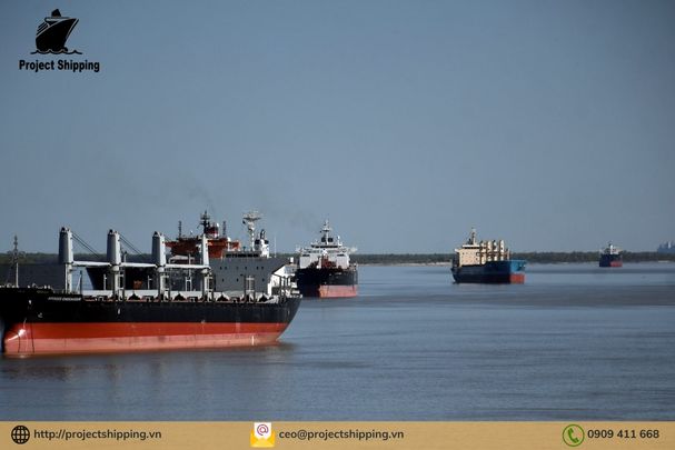 Những lưu ý khi vận chuyển hàng từ Bahia Blanca – Argentina đi Cát Lái Việt Nam