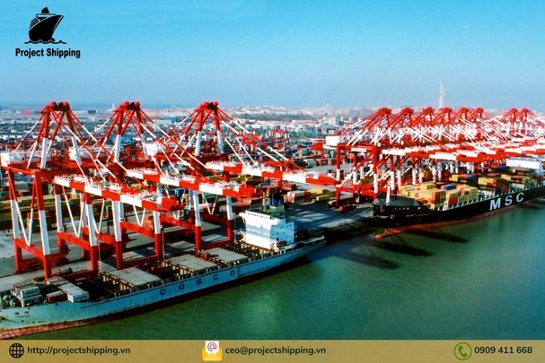 Những lưu ý khi vận chuyển hàng từ Hải Phòng Việt Nam đi La Plata – Argentina