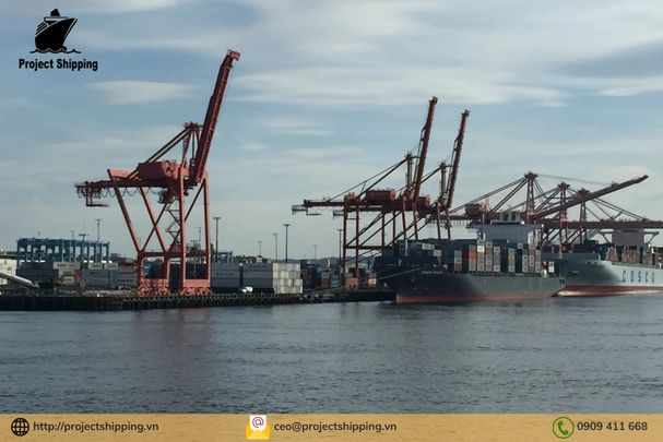 Những lưu ý khi vận chuyển hàng từ Hải Phòng Việt Nam đi Puerto Quequen – Argentina