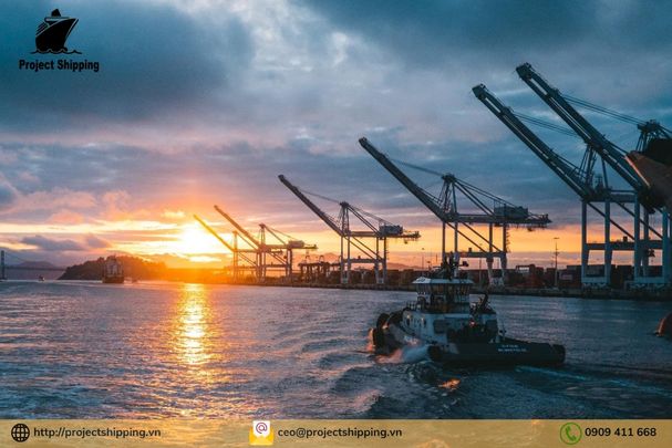 Phụ phí và Local Charge tại Việt Nam