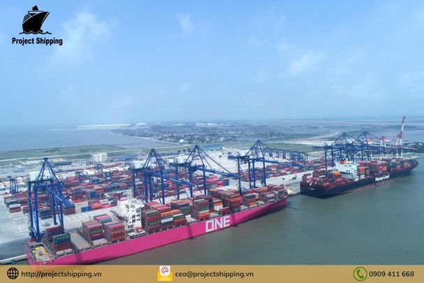 Phụ phí và Local Charge tại Việt Nam